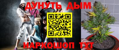 стафф Бугуруслан